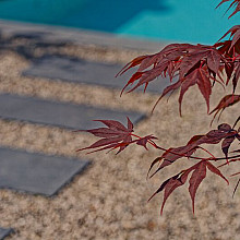 Schellevis opsluitband 5x40x100 antraciet